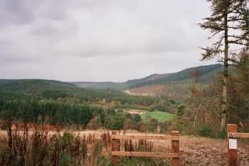 Dalby Forest