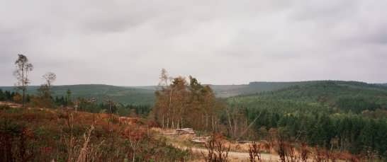 Dalby Forest drive