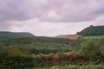 Dalby Forest