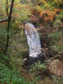 Falling Foss