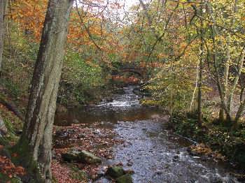 Falling Foss