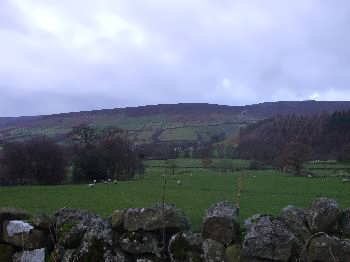 Farndale