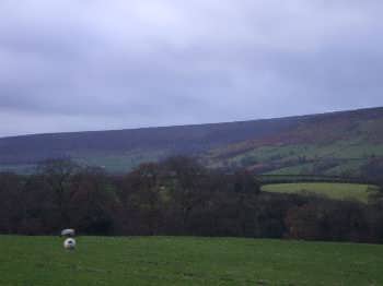 Farndale