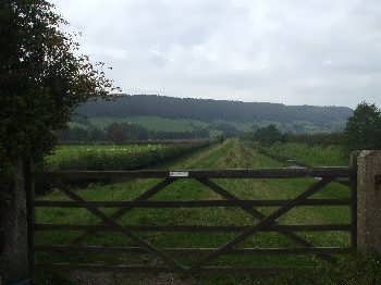The Forge Valley