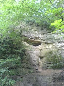 Kirkdale Cave
