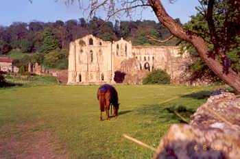 Rievaulx Abbey